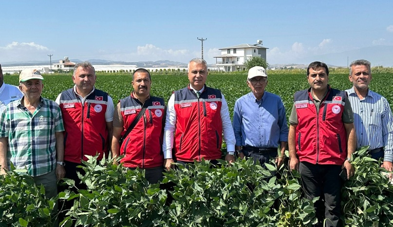 2. ürün tohumluk soya tarlalarında inceleme