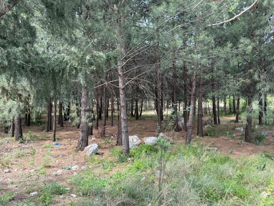 Anne-Oğul Cinayetinde Altın Detayı haber fotoğrafı