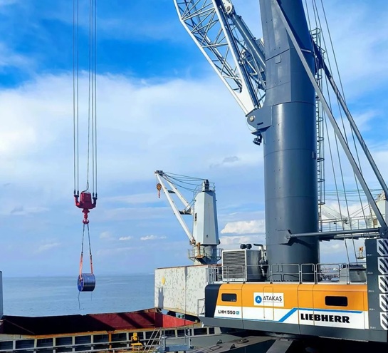 Atakaş Port, Yeni Mobil Liman Vinci devrede