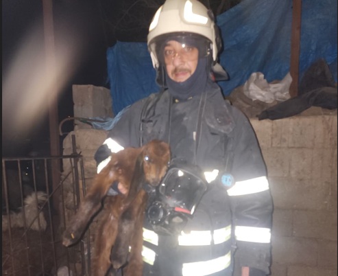 Besimhanede yangın çıktı