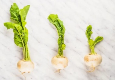 Detoksifikasyona Yardımcı Olur