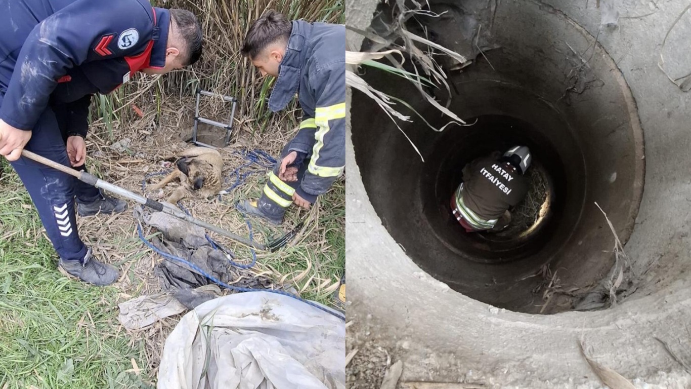 Hatay’da Kuyuya Düşen Köpek Ekiplerce Kurtarıldı