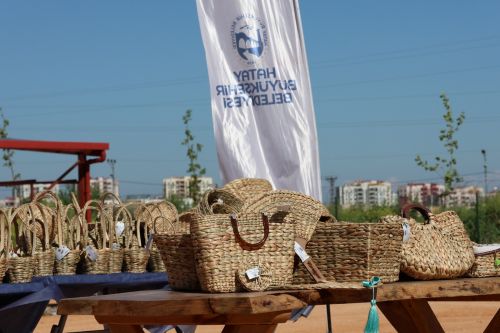 Hatay’da Su Sümbülleri Ekonomiye Kazandırılıyor