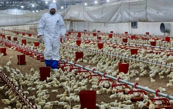 Hedef daha güvenli gıda