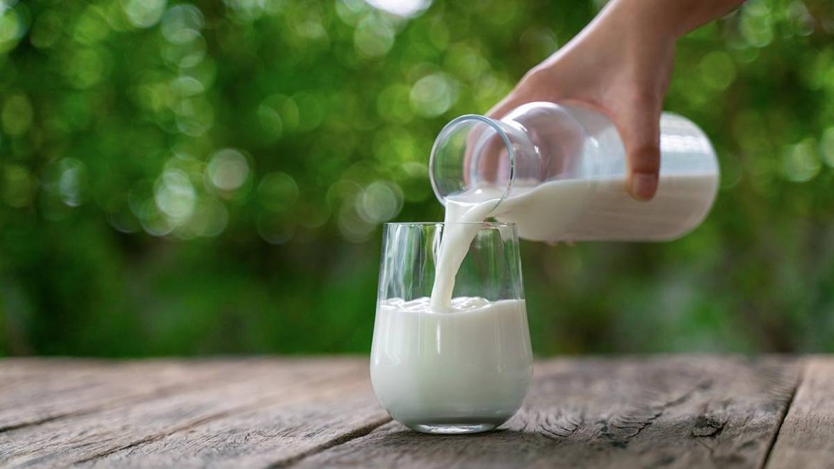 İçme sütü üretimi azaldı