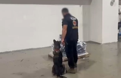 Kasımın ilk haftasında 450 kilo esrar ele geçirildi