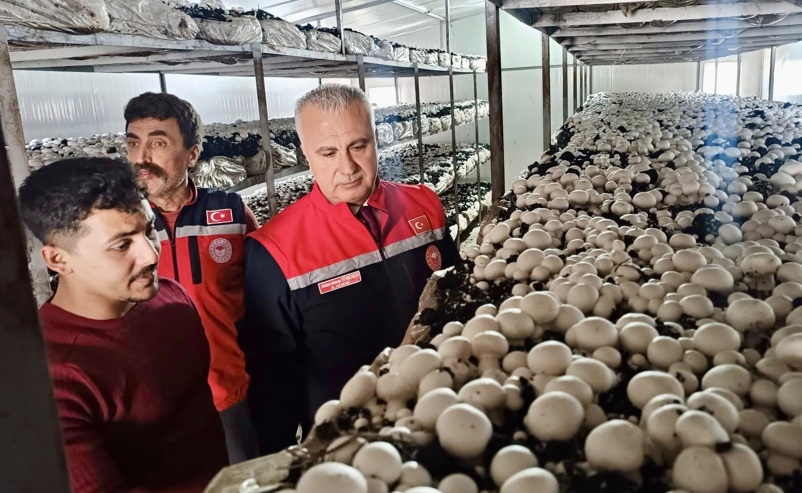 Katma değeri yüksek ürünler destekleniyor