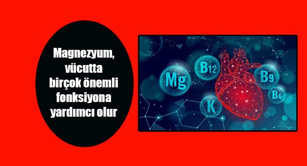 Magnezyum Nedir?