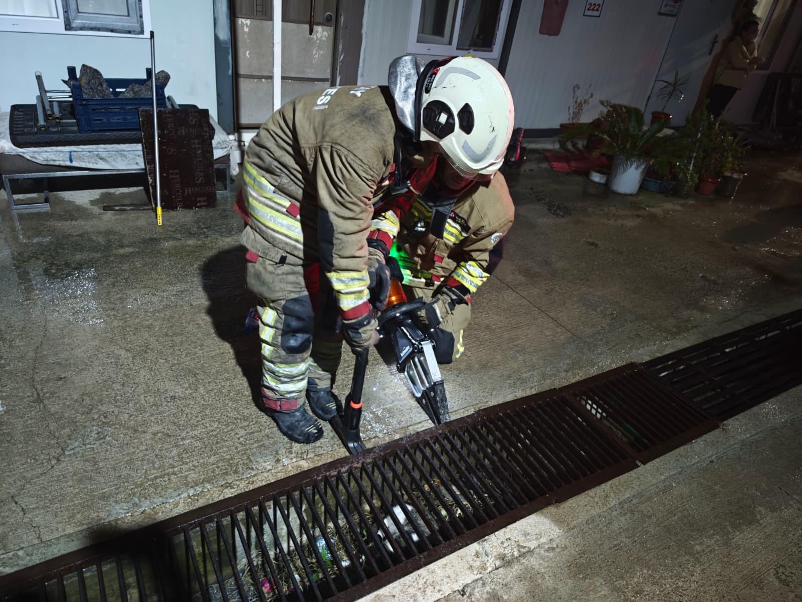 Mazgala Sıkışan Anne Kedi ve Yavruları Kurtarıldı