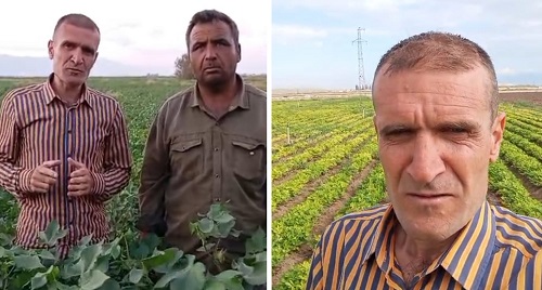 Organik Gübreyle Dünya Rekoruna İmza Atıyor!
