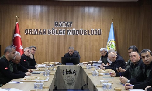 Orman Genel Müdür Yardımcısı Çetiner Hatay'da