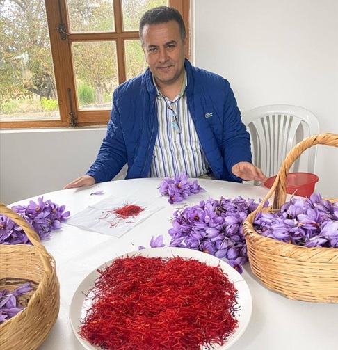 Safranın Üretimi Bilimsel Çalışmalarla Artıyor
