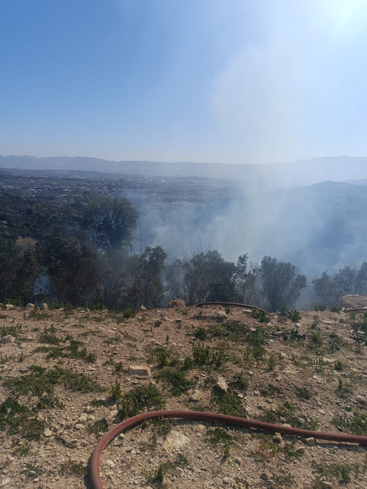 Samandağ’da Ormanlık Alanda Çıkan Yangın Kontrol Altına Alındı