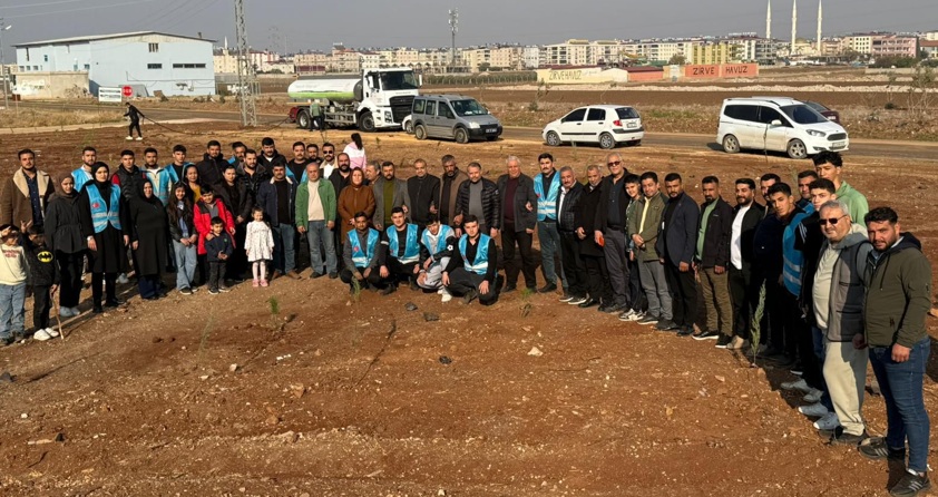 Ülkü Ocaklarından Başbuğ Türkeş’e Vefa: 108 Fidan Dikildi haber fotoğrafı
