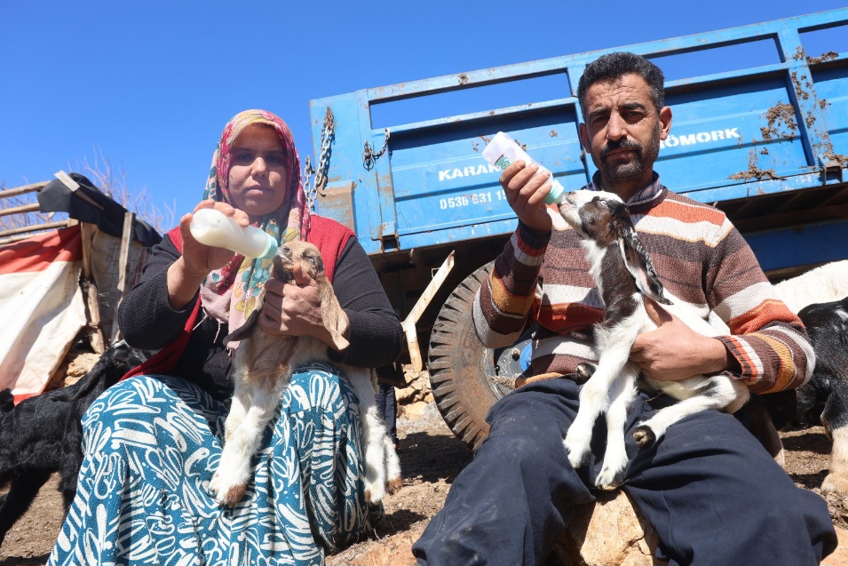 Yayladağı’nda Zehirli Su Faciası