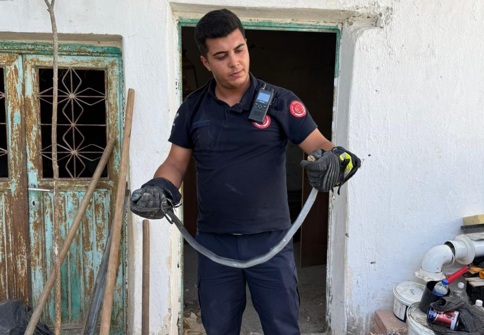 Yerleşim yerlerine giren yılanlar yakalandı