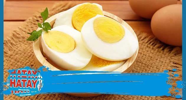 Yumurtanın Besin Değeri Nedir?